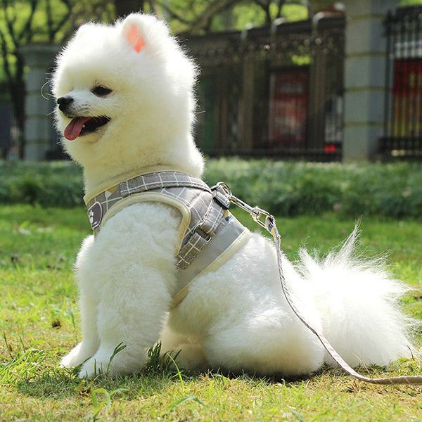 Cat & Dog Escape Proof Universal Harness with Leash Set