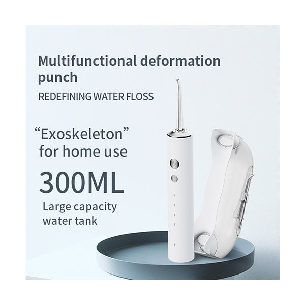 Portable Detachable Water Tank Floss with 4 tips
