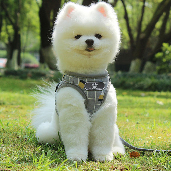 Cat & Dog Escape Proof Universal Harness with Leash Set