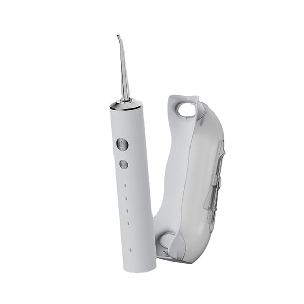 Portable Detachable Water Tank Floss with 4 tips