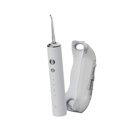 Portable Detachable Water Tank Floss with 4 tips