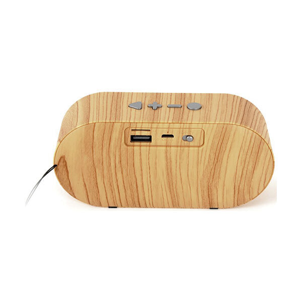 TWS Portable Bluetooth Speaker